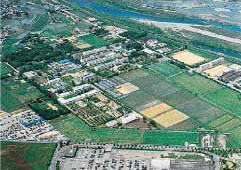 United Graduate School of Agricultural Sciences, Kouchi University